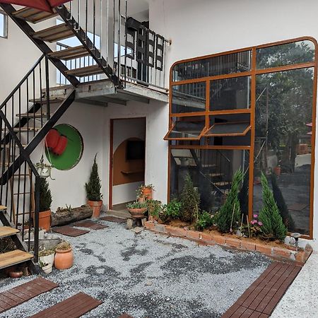 ソクチャン Mai Anh Garden Bed & Breakfast エクステリア 写真